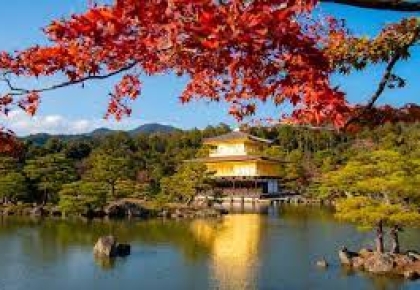 Bí Quyết Luyện Thi JLPT Hiệu Quả Từ N5 Đến N1